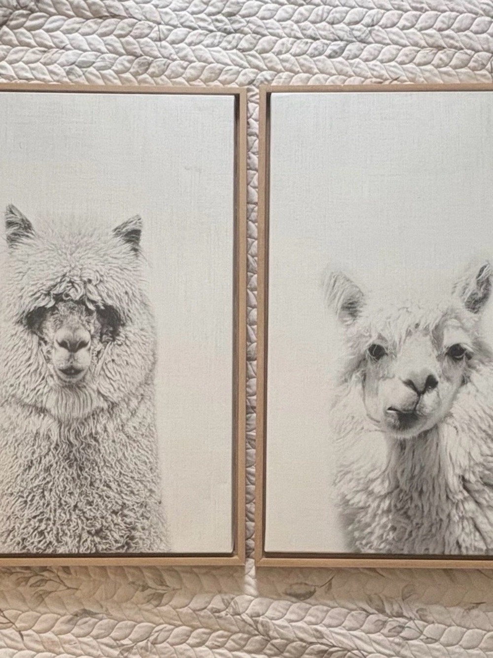 Kate and Laurel Sylvie Alpaca 2pc Framed Canvas Wall Art 33in Vertical, White